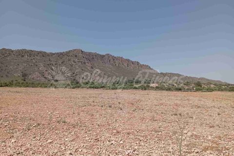 Helårsgrund i Yecla, Murcia, Yecla - € 39.000 | Ref: SF0472 - foto 3